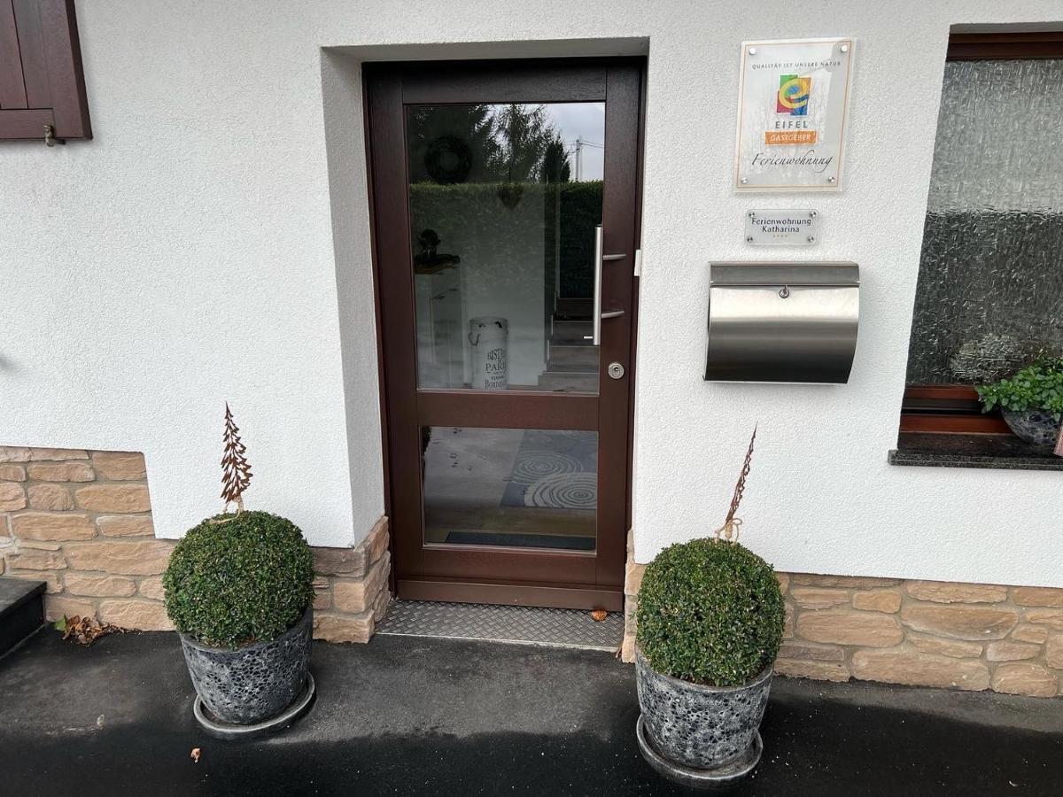 Ferienwohnung Katharina 4 Sterne Laut Dtv Wallbox 11Kw Nideggen Exterior foto